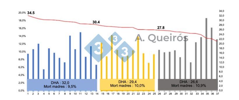 Figura 3:&nbsp;Mortalidad de cerdas seg&uacute;n la productividad de la explotaci&oacute;n. Base de datos Actualtech. Queir&oacute;s, 2022: Presentaci&oacute;n oral de Sinsui.

&nbsp;
